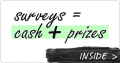 Surveys for Cash + Prizes